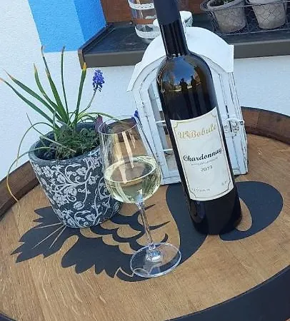 Vinný Sklep A U Bobule Penzion Znojmo