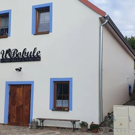 Vinny Sklep A U Bobule Guest house
